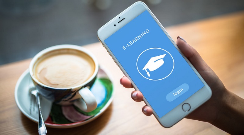 集各家之所长：有效提升企业生命力